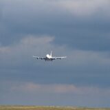 IMG_4231a